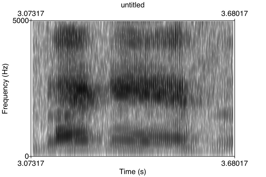 Spectogram 2 spectogram2 | Data Collection in Sociolinguistics: Methods and Applications